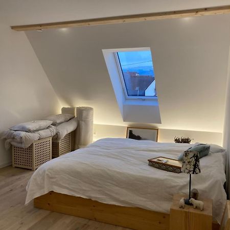 Neues Penthouse-Loft Mit Konuskarte Fuer Gratis Oepnv Lejlighed Ehrenkirchen Eksteriør billede