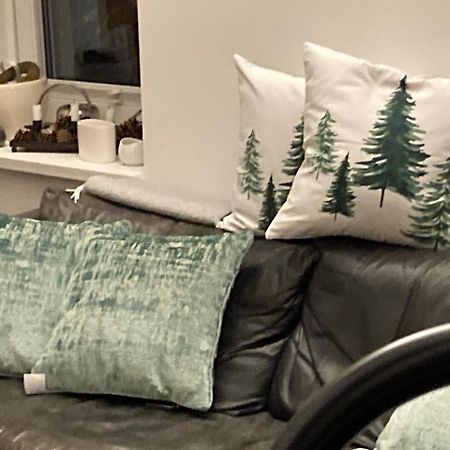 Neues Penthouse-Loft Mit Konuskarte Fuer Gratis Oepnv Lejlighed Ehrenkirchen Eksteriør billede