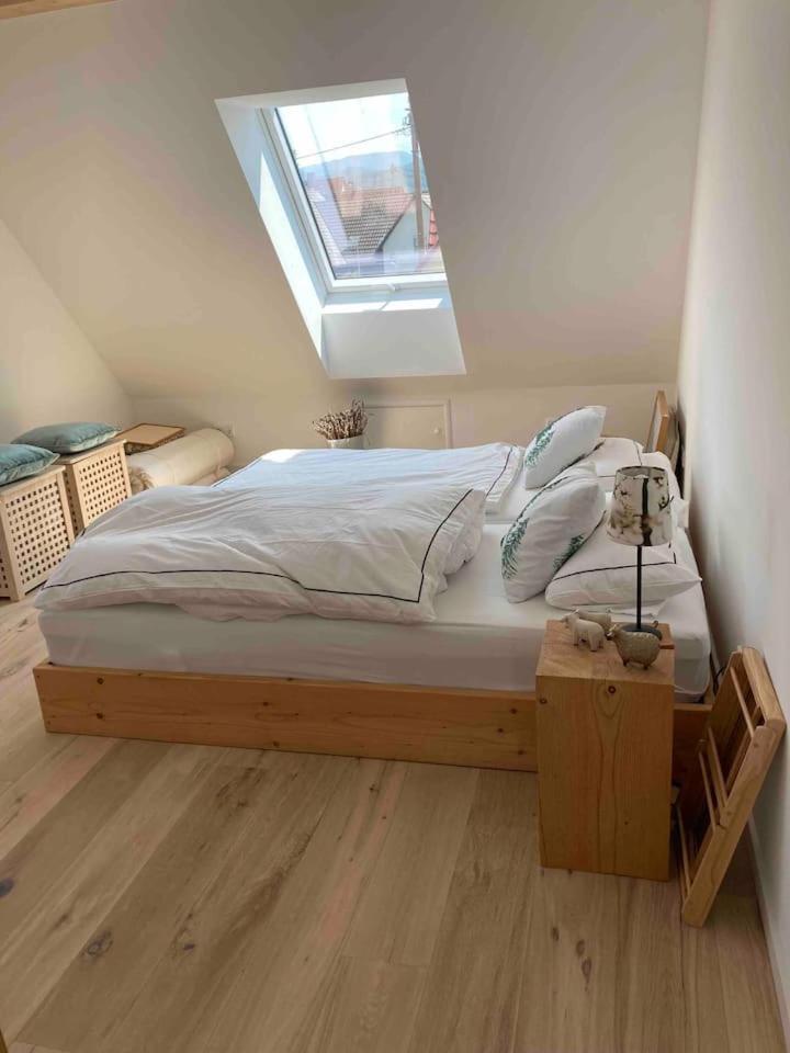 Neues Penthouse-Loft Mit Konuskarte Fuer Gratis Oepnv Lejlighed Ehrenkirchen Eksteriør billede