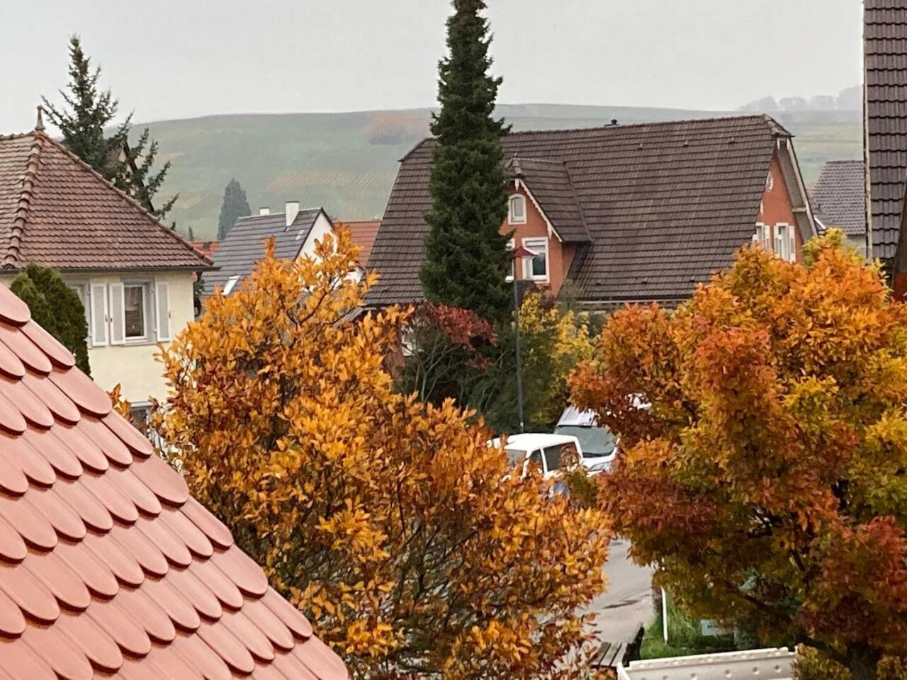 Neues Penthouse-Loft Mit Konuskarte Fuer Gratis Oepnv Lejlighed Ehrenkirchen Eksteriør billede
